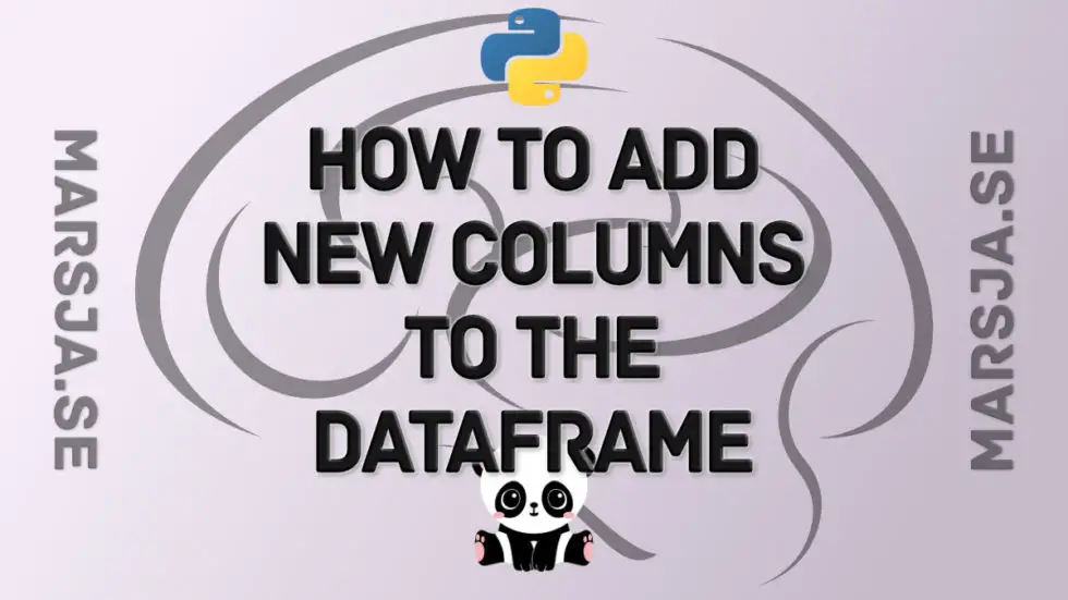 adding-new-columns-to-a-dataframe-in-pandas-with-examples