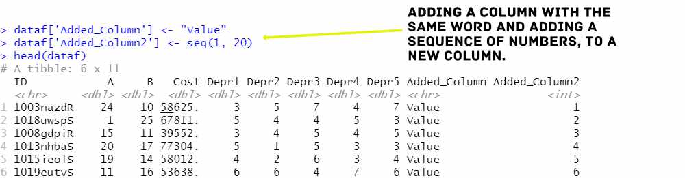 R Add Two Columns To Dataframe Webframes